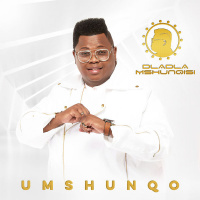 Dladla Mshunqisi-Umshunqo Album